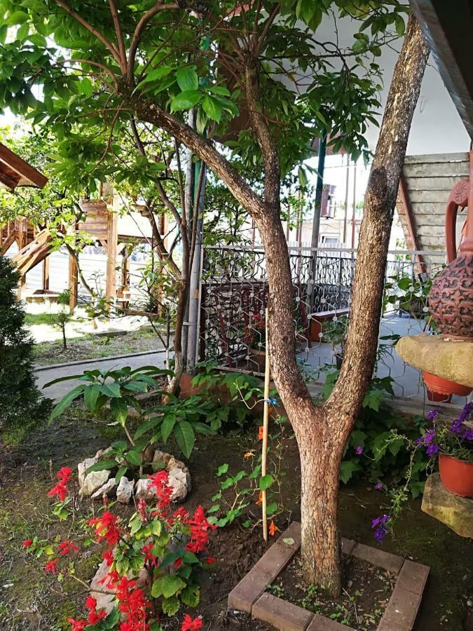 Отель Гостевой дом РУНО Гагра Экстерьер фото
